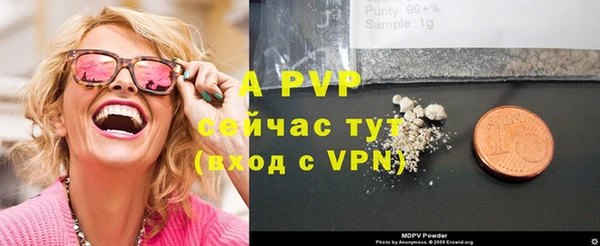 гидра Аркадак