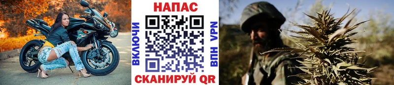 купить   Асбест  Бошки Шишки план 